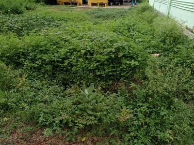 Residential Plot