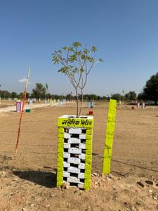 Image of 200 Sq.ft Residential Plot / Land for sale in Khatoo, Sikar for Rs. 900000