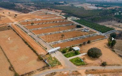 Bihta Plot View 2