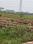 Patrapada Main Image 1
