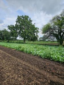 Image of 5500 Sq.ft Residential Plot / Land for sale in Ralamandal, Indore for Rs. 8530500