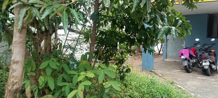 Sundarapuram, Kurichi Main Image 1