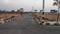 Taramatipet Main Image 1