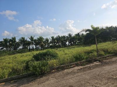Image of 1000 Sq.ft Residential Plot / Land for sale in Wagholi, Pune for Rs. 751000