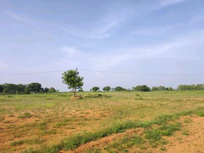 Image of 184 Sq.ft Residential Plot / Land for sale in Alair, Yadadri Bhuvanagiri for Rs. 1800025