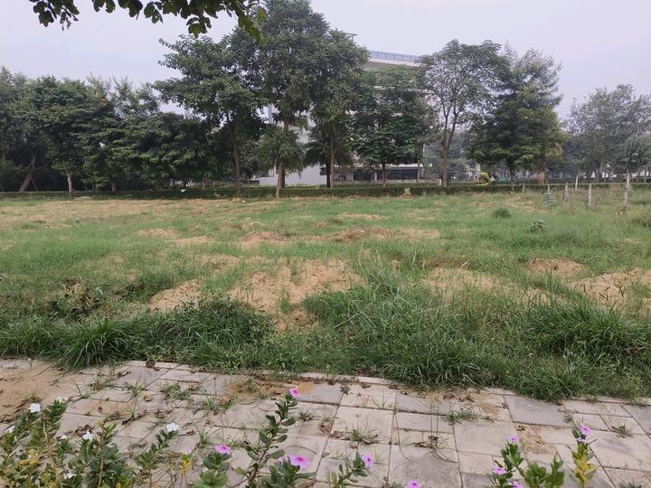 Sector 82A Main Image 1