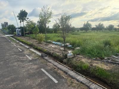 A-Zone Plot View 1