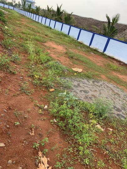 Kalapatti Main Image 1