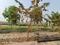 Avinash Twin City Main Image 1