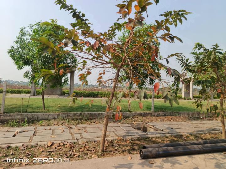 Avinash Twin City Main Image 1