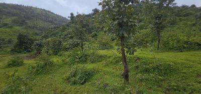 Image of 520000 Sq.ft Residential Plot / Land for sale in Varasgaon, Pune for Rs. 123500000