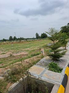 Residential Plot