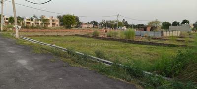 Residential Plot