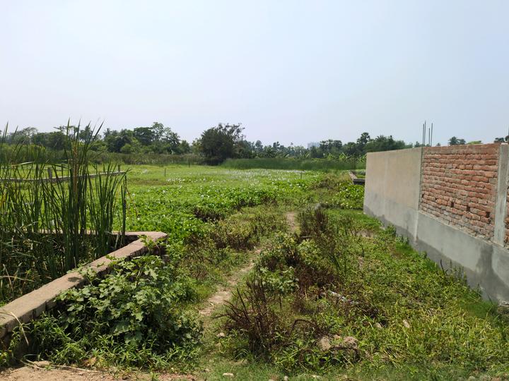 Sonargaon 2 Main Image 1