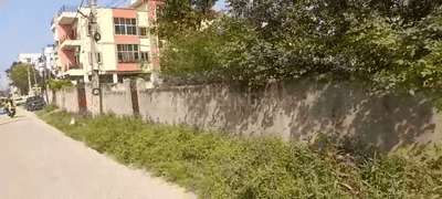 Hatia Plot View 1
