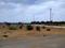 Sarde Plot View 2