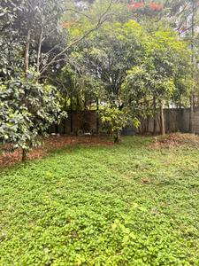 Residential Plot