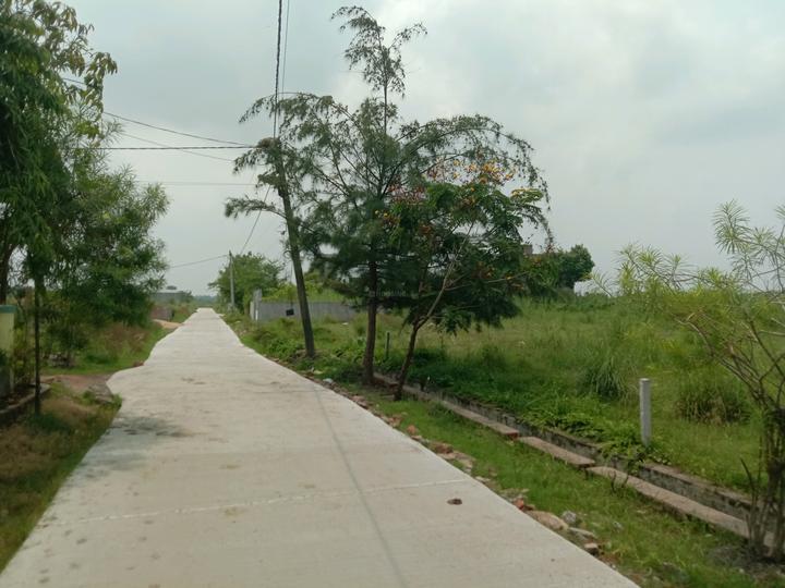 Konchowki Housing Society Main Image 1