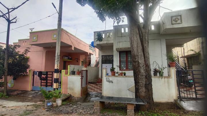 Jigala Main Image 1