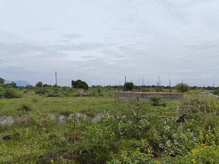 Mukkampatti Main Image 1