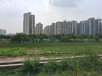 Image of 900 Sq.ft Residential Plot / Land for sale in Sector 116, Noida for Rs. 10000000