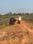 Patrapoda Main Image 1