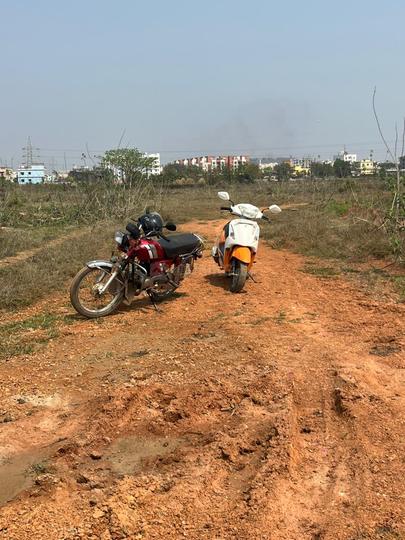 Patrapoda Main Image 1