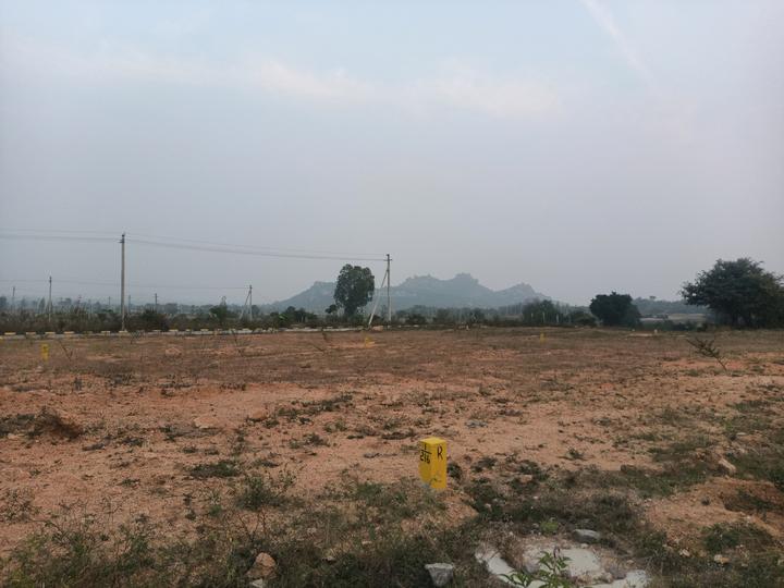 Fortune 18 3 LP Main Image 1