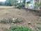 Gandarpur Main Image 1