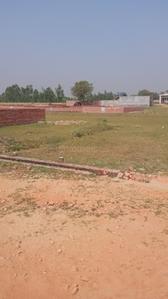 Nigoha Plot View 2