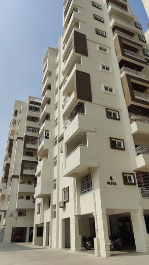 Confident Pride Main Image 1