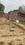 Sarnath Main Image 1