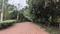 Devguradia Plot View 2