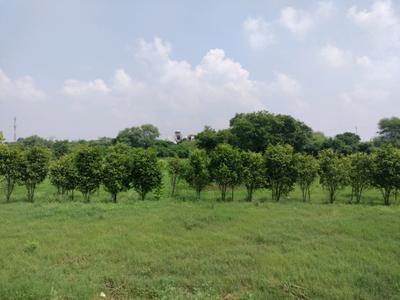 Image of 119 Sq.ft Residential Plot / Land for sale in Amolik Aster Woods, Sector 98, Faridabad for Rs. 18800000