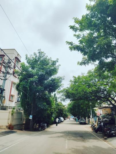 Kasavanahalli Main Image 1