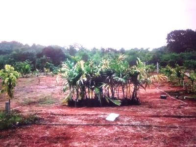 Image of 1089 Sq.ft Residential Plot / Land for sale in Belondakhar, Navi Mumbai for Rs. 328000