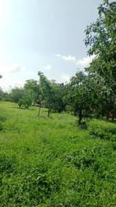 Image of 4840 Sq.ft Residential Plot / Land for sale in Ghatkesar, Secunderabad for Rs. 25000000