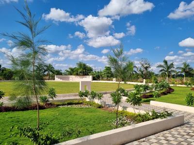 Residential Plot