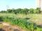 Betterchoice Vanya City Main Image 1