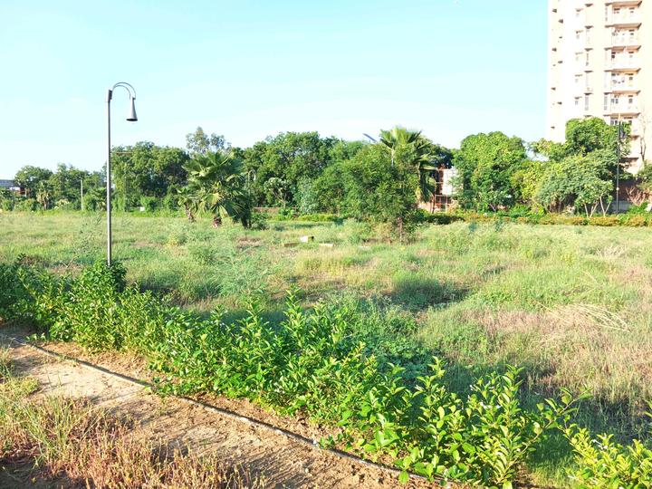 Betterchoice Vanya City Main Image 1
