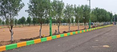 Residential Plot