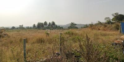 Image of 32374 Sq.ft Residential Plot / Land for sale in Parvathapura, Magadi, Bengaluru for Rs. 11000000