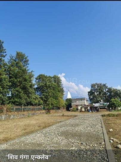 Selakui Main Image 1