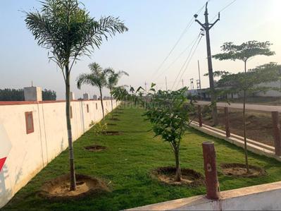 Image of 1350 Sq.ft Residential Plot / Land for sale in Naya Raipur, Raipur for Rs. 1687500