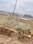 Patrapada Main Image 1