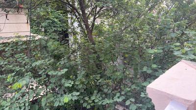 Balcony Image of 1000 Sq.ft 2 BHK Builder Floor for rent in Malviya Nagar New Delhi for Rs. 65000