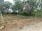 Ranjanpada Main Image 1