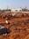 Narayankhed plot for sale Main Image 1