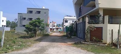 Plot View