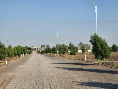Royal Meadows Plot View 2